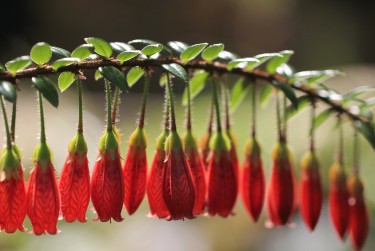 佛山禅城区7私人快速借钱网，轻松解决资金难题