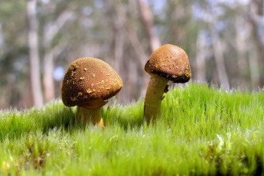 佛山禅城区7私人老板放款：轻松融资的秘密通道